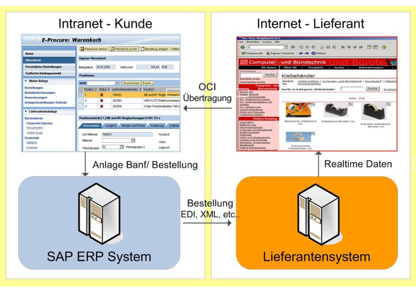 eProcure SAP ERP Intranet und Internet Kunde