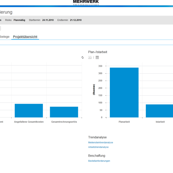 SAP Business ByDesign Projektanalysen