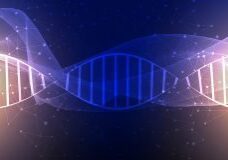 Qlik Process Mining DNA